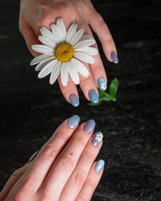 Hands beside a daisy on a dark background, showing the short oval shape and the floral accents.