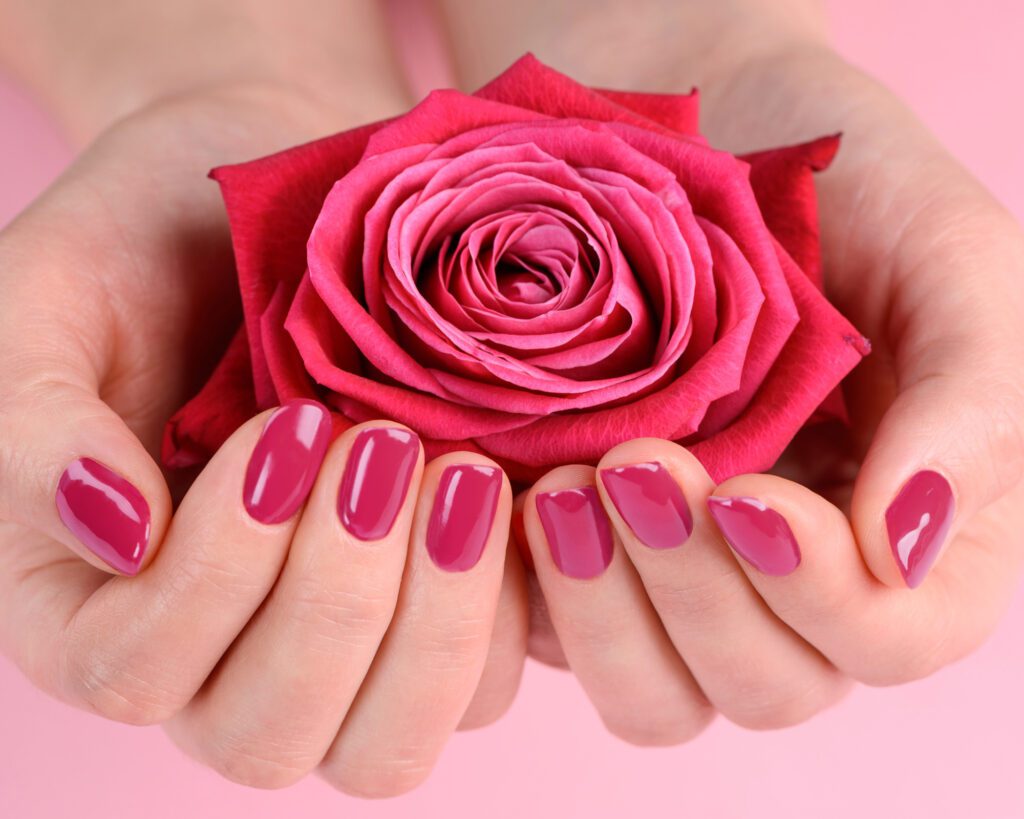 Hands with pink-mauve gel nails cupping a bright pink rose