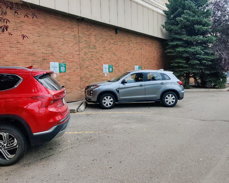 Parking spaces along a brick wall behind the building, with parking signs on the wall.